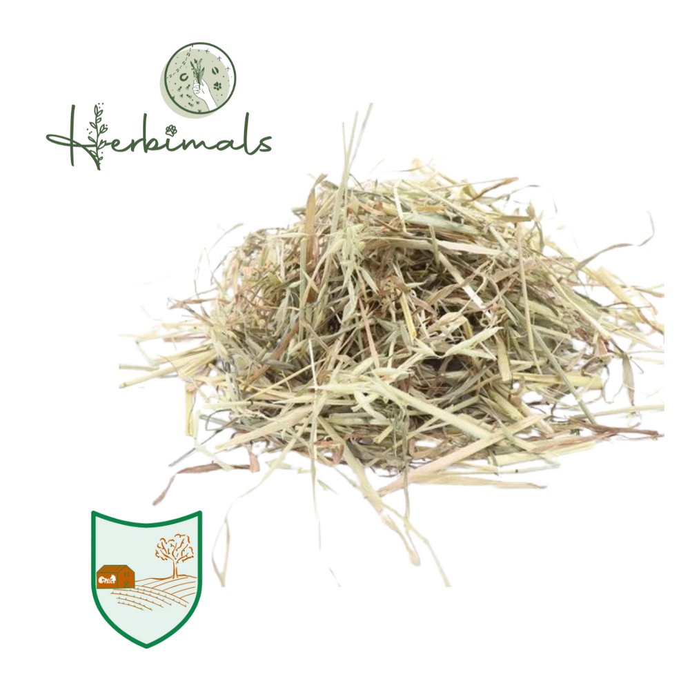 Herbimals Herbimals Groene haver - grof Herbimals Herbimals Groene haver - grof