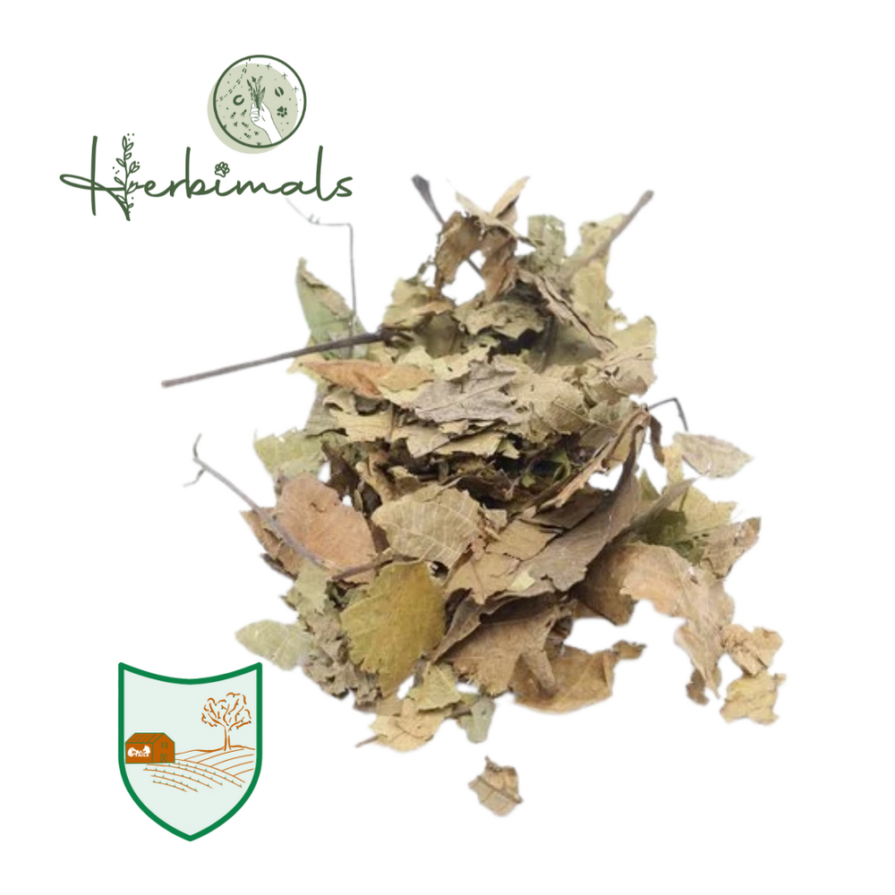 Herbimals Herbimals Walnootblad - heel Herbimals Herbimals Walnootblad - heel