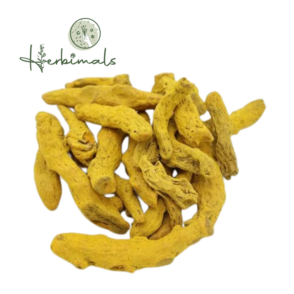 Herbimals Herbimals Kurkumawortel - heel - 10-100 mm Herbimals Herbimals Kurkumawortel - heel - 10-100 mm