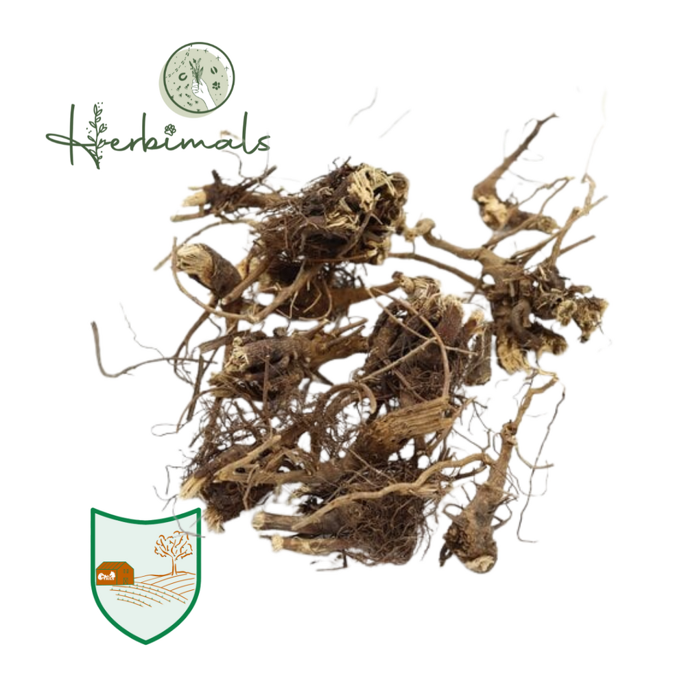 Herbimals Herbimals Rode Zonnehoedwortel - Echineaceawortel - grof Herbimals Herbimals Rode Zonnehoedwortel - Echineaceawortel - grof