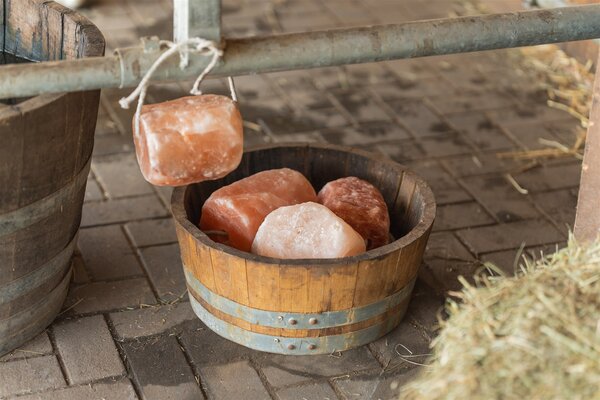 Natuly (voorheen Bio-Ron) Natuly Himalaya Liksteen XXL - circa 4.5 kilo Natuly (voorheen Bio-Ron) Natuly Himalaya Liksteen XXL - circa 4.5 kilo