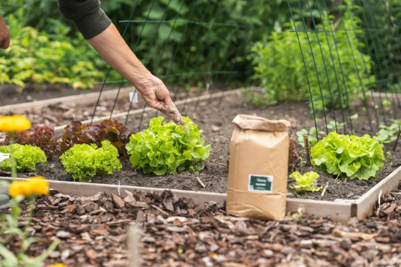 Natuly (voorheen Bio-Ron) Natuly Magma Eifel Lava - Fijn - 10 kilo Natuly (voorheen Bio-Ron) Natuly Magma Eifel Lava - Fijn - 10 kilo