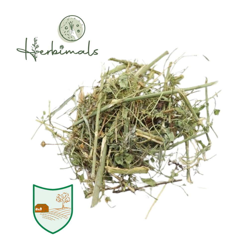 Herbimals Herbimals Venkelplant - grof Herbimals Herbimals Venkelplant - grof