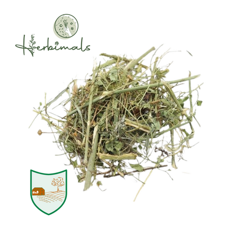 Herbimals Herbimals Venkelplant - grof Herbimals Herbimals Venkelplant - grof