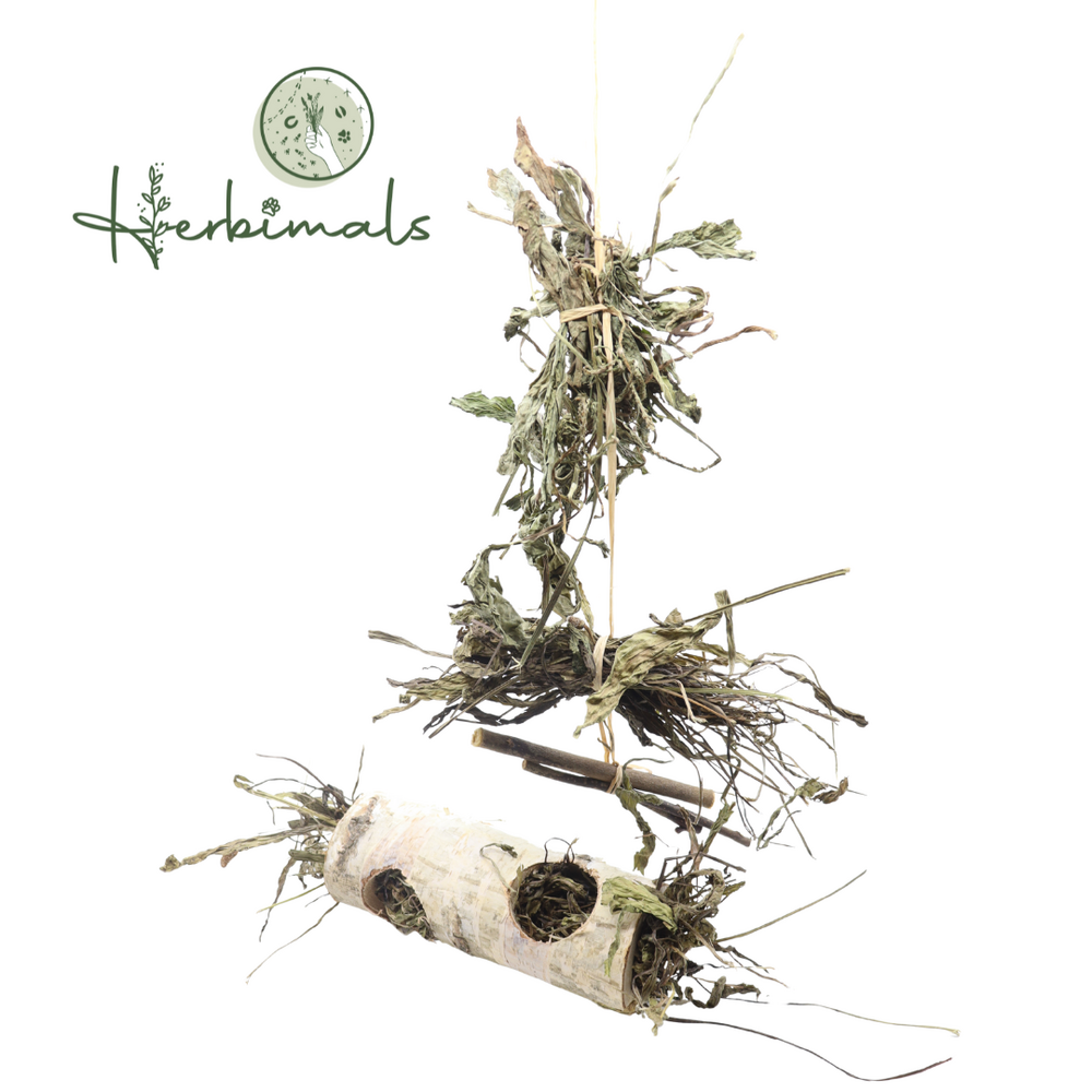 Herbimals Herbimals Afleidingspakket - Konijn-Cavia