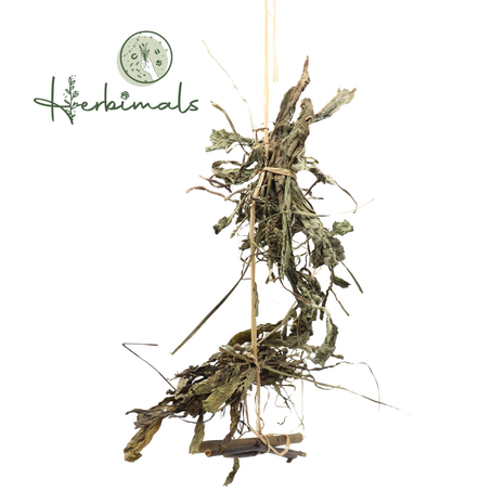 Herbimals Herbimals Afleidingspakket - Konijn-Cavia