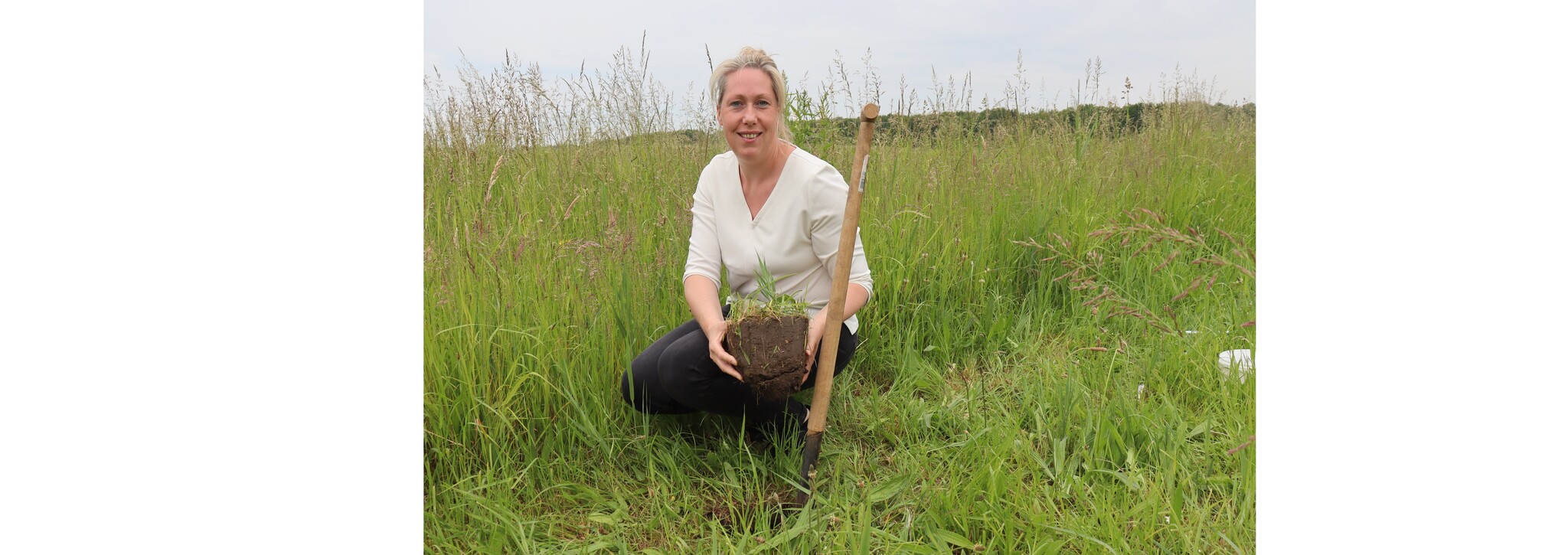 Overname Horse & Habitat door D-tails Overname Horse & Habitat door D-tails