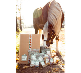 Herbimals Losse Herbimals Kruidenbox - Pony tot 400 kilo Herbimals Losse Herbimals Kruidenbox - Pony tot 400 kilo