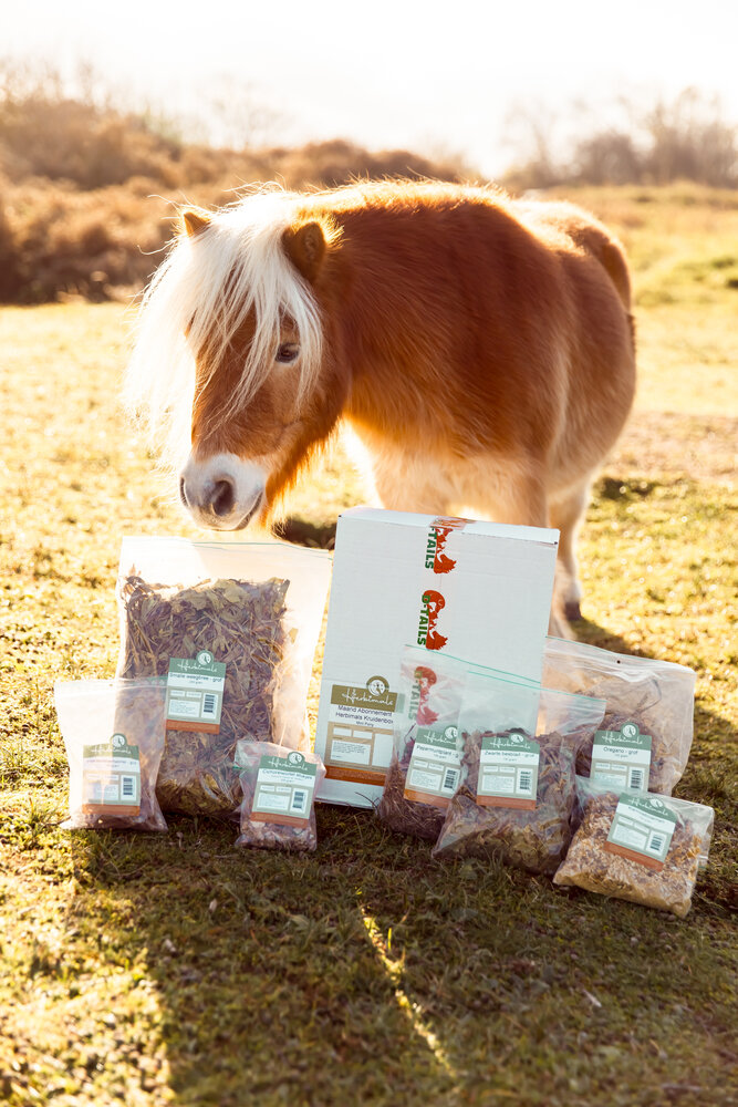 Herbimals Losse Herbimals Kruidenbox - Maandbox - Mini Pony tot 200-250 kilo Herbimals Losse Herbimals Kruidenbox - Maandbox - Mini Pony tot 200-250 kilo