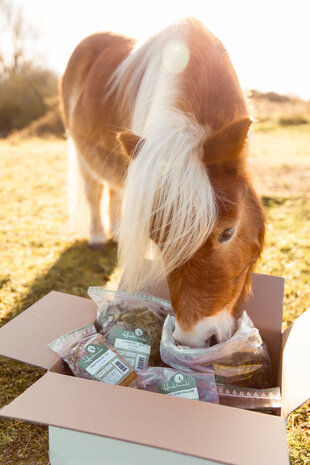 Herbimals Losse Herbimals Kruidenbox - Maandbox - Mini Pony tot 200-250 kilo Herbimals Losse Herbimals Kruidenbox - Maandbox - Mini Pony tot 200-250 kilo