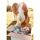 Herbimals Losse Herbimals Kruidenbox - Maandbox - Mini Pony tot 200-250 kilo Herbimals Losse Herbimals Kruidenbox - Maandbox - Mini Pony tot 200-250 kilo