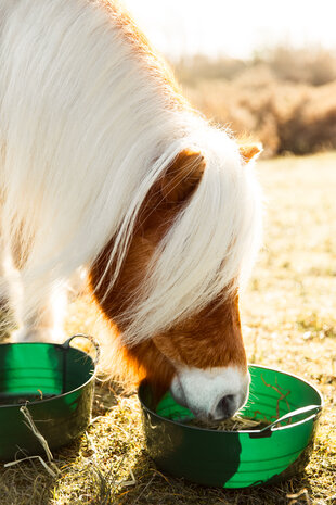 Kruidenbar paard - pony - ezel Kruidenbar paard - pony - ezel