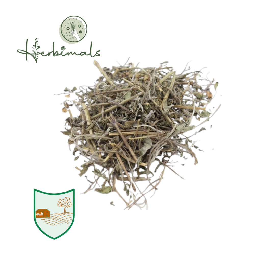 Herbimals Herbimals Salieblad - grof