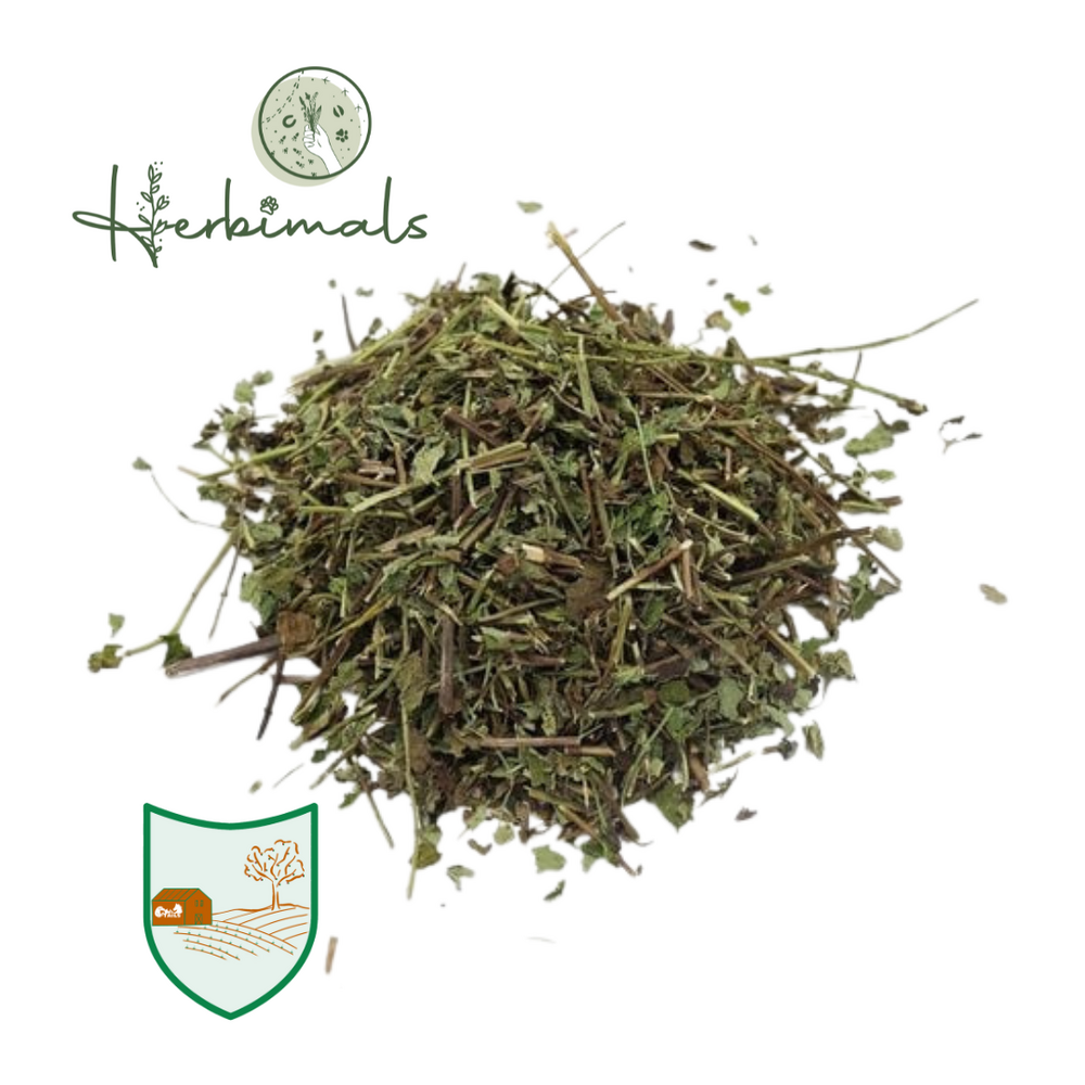 Herbimals Herbimals Citroenmelisseplant - fijn