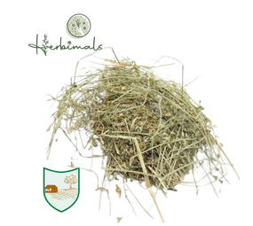 Herbimals Herbimals Herderstasje - grof Herbimals Herbimals Herderstasje - grof