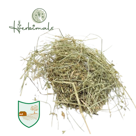 Herbimals Herbimals Herderstasje - grof Herbimals Herbimals Herderstasje - grof