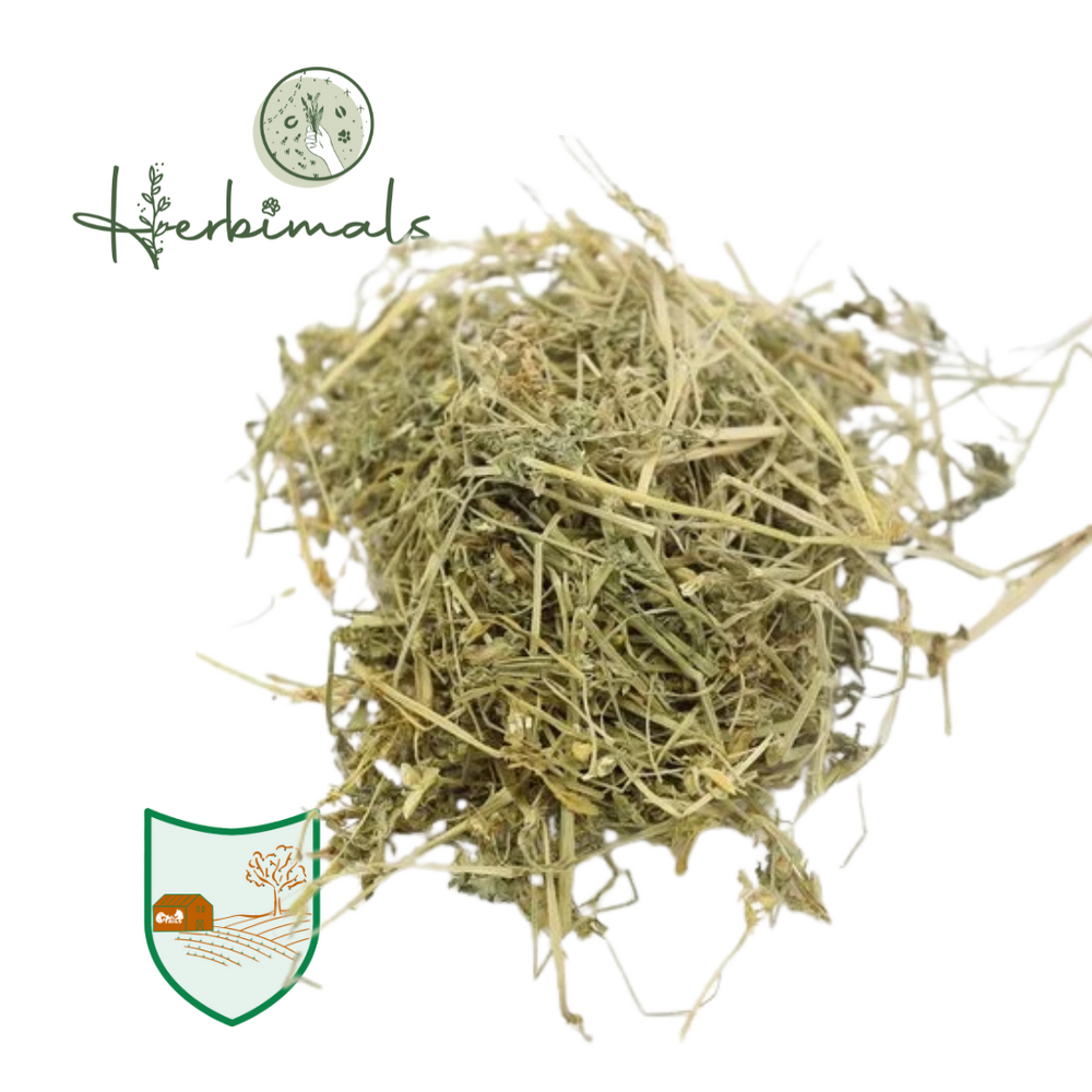 Herbimals Herbimals Driekleurig viooltje plant - Viola tricolor - grof Herbimals Herbimals Driekleurig viooltje plant - Viola tricolor - grof