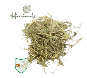 Herbimals Herbimals Driekleurig viooltje plant - Viola tricolor - grof Herbimals Herbimals Driekleurig viooltje plant - Viola tricolor - grof