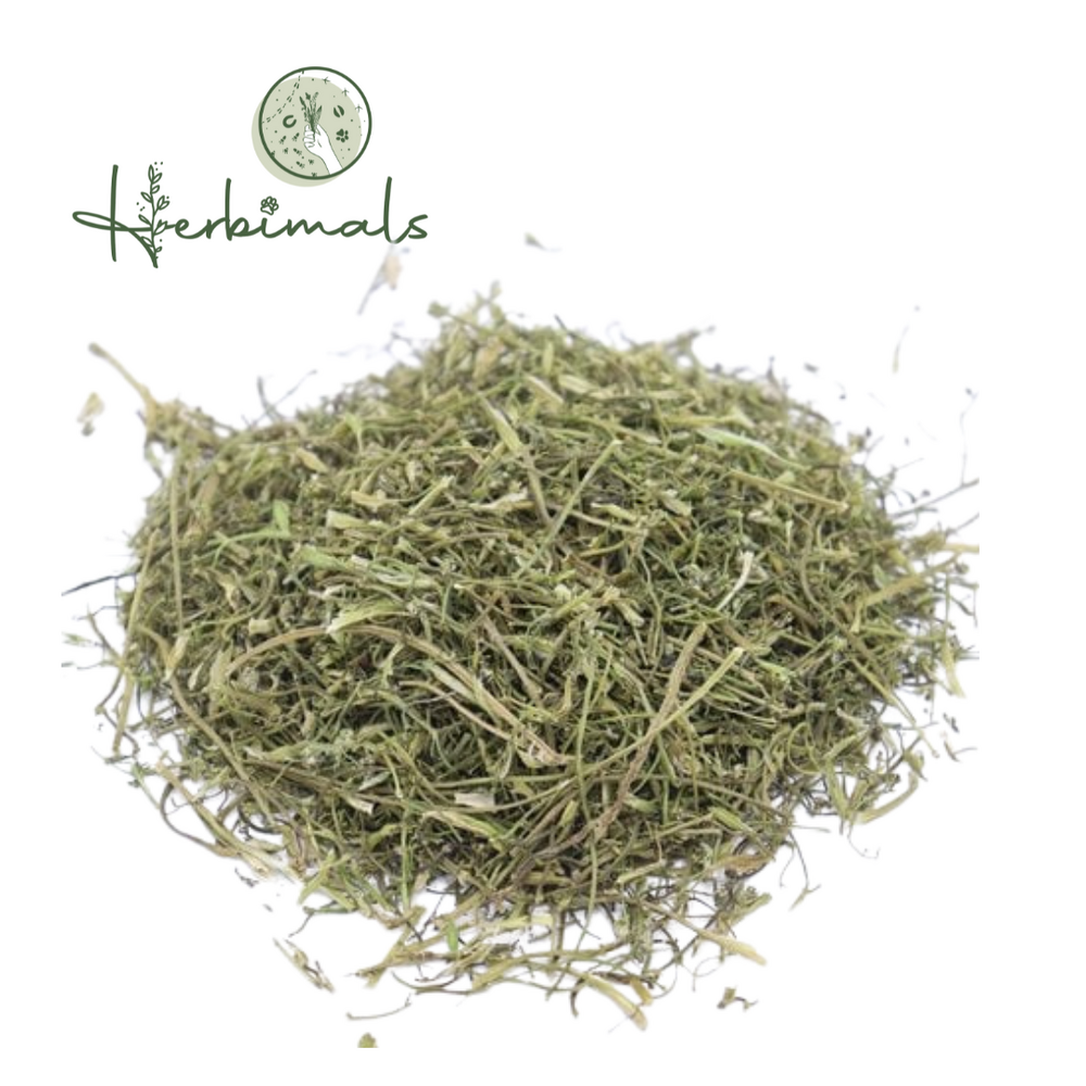 Herbimals Herbimals Kervelsteeltjes