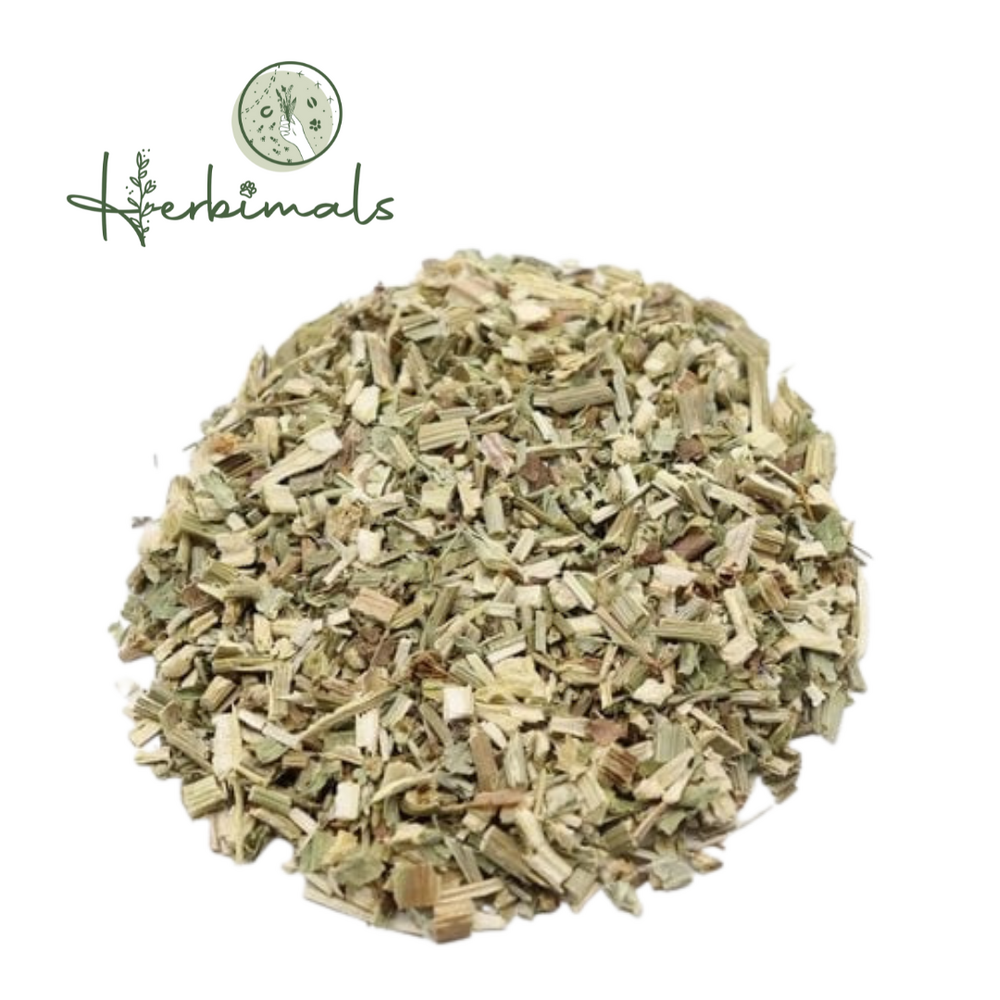 Herbimals Herbimals Wild Cichoreikruid - Cichorium intybus L. - fijn Herbimals Herbimals Wild Cichoreikruid - Cichorium intybus L. - fijn