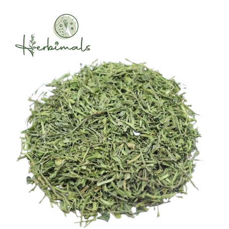 Herbimals Herbimals Selderijsteeltjes Herbimals Herbimals Selderijsteeltjes