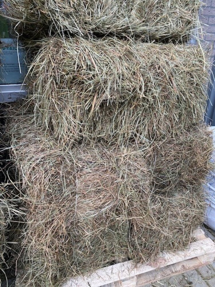 Herbimals Herbimals Pools Kruidenhooi - 9-10 kilo - mini baal in doos