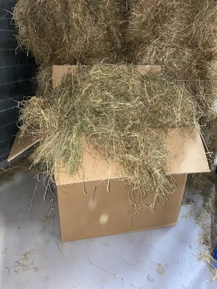 Herbimals Herbimals Pools Kruidenhooi - 9-10 kilo - mini baal in doos