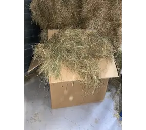 Herbimals Herbimals Pools Kruidenhooi - 5 kilo - in doos