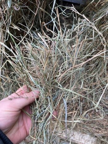 Herbimals Herbimals Pools Kruidenhooi - 5 kilo - in doos