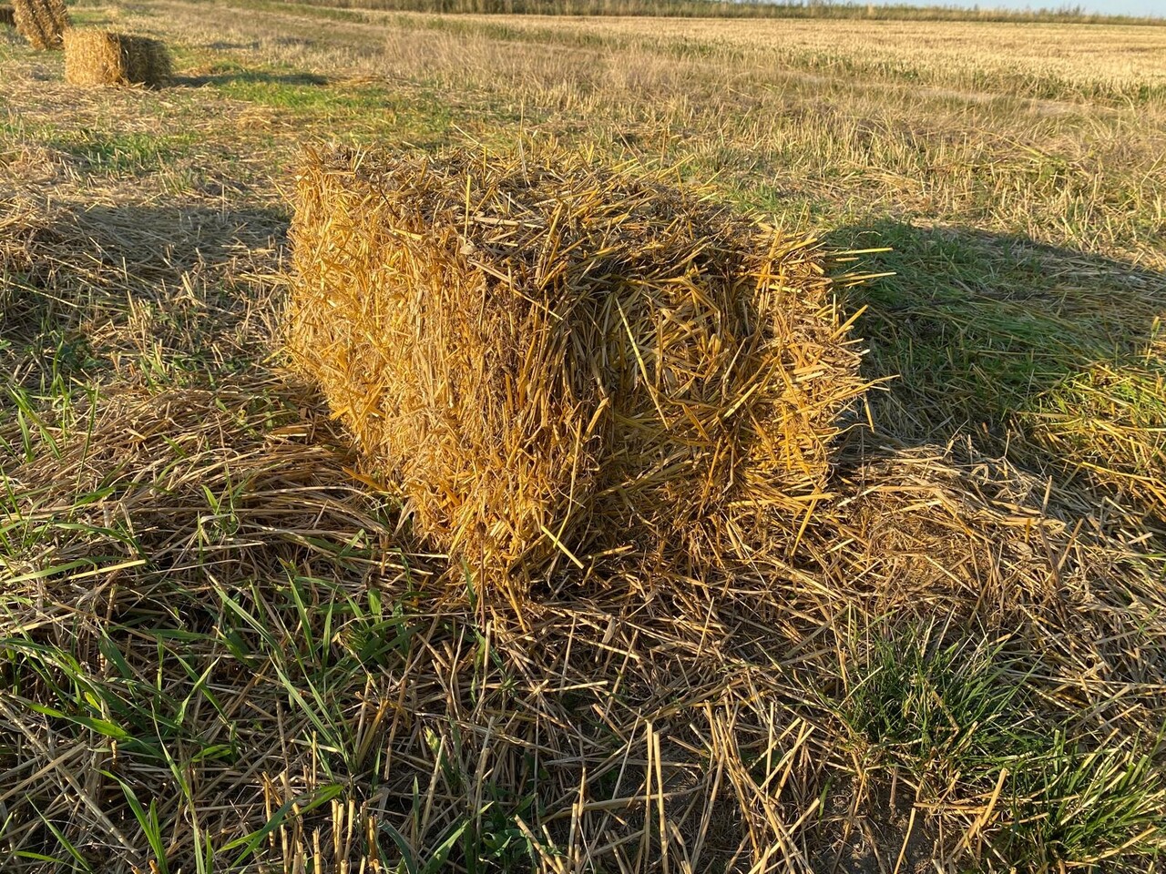 Herbimals Herbimals Premium Stro - 4 kilo