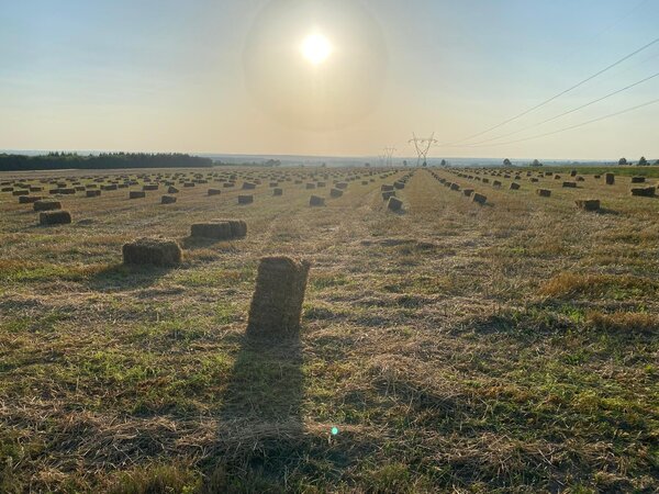 Herbimals Herbimals Premium Stro - 4 kilo