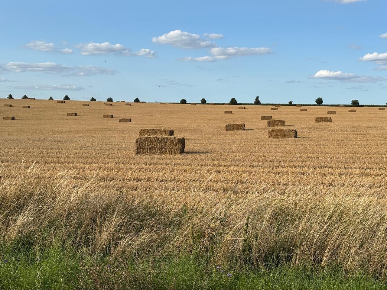 Herbimals Herbimals Premium Stro - 4 kilo