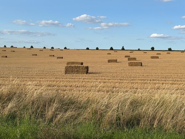 Herbimals Herbimals Premium Stro - 4 kilo