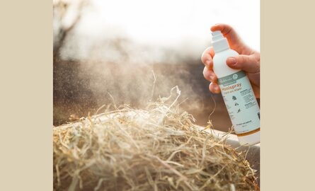 Waarom onverpakt hooi de beste keuze is voor je paard.