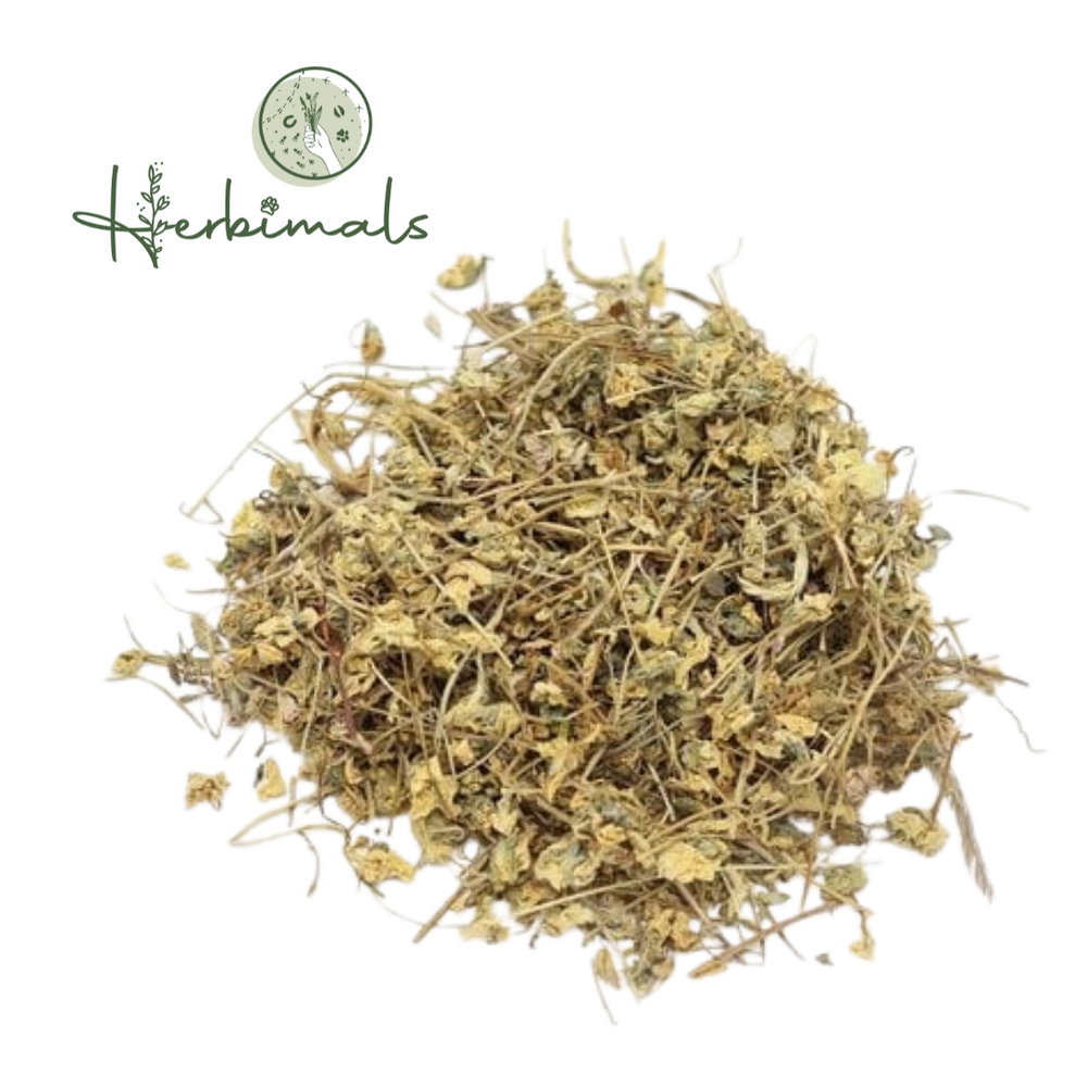 Herbimals Herbimals Driekleurig viooltje bloemen - Viola tricolor