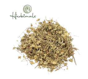 Herbimals Herbimals Driekleurig viooltje bloemen - Viola tricolor