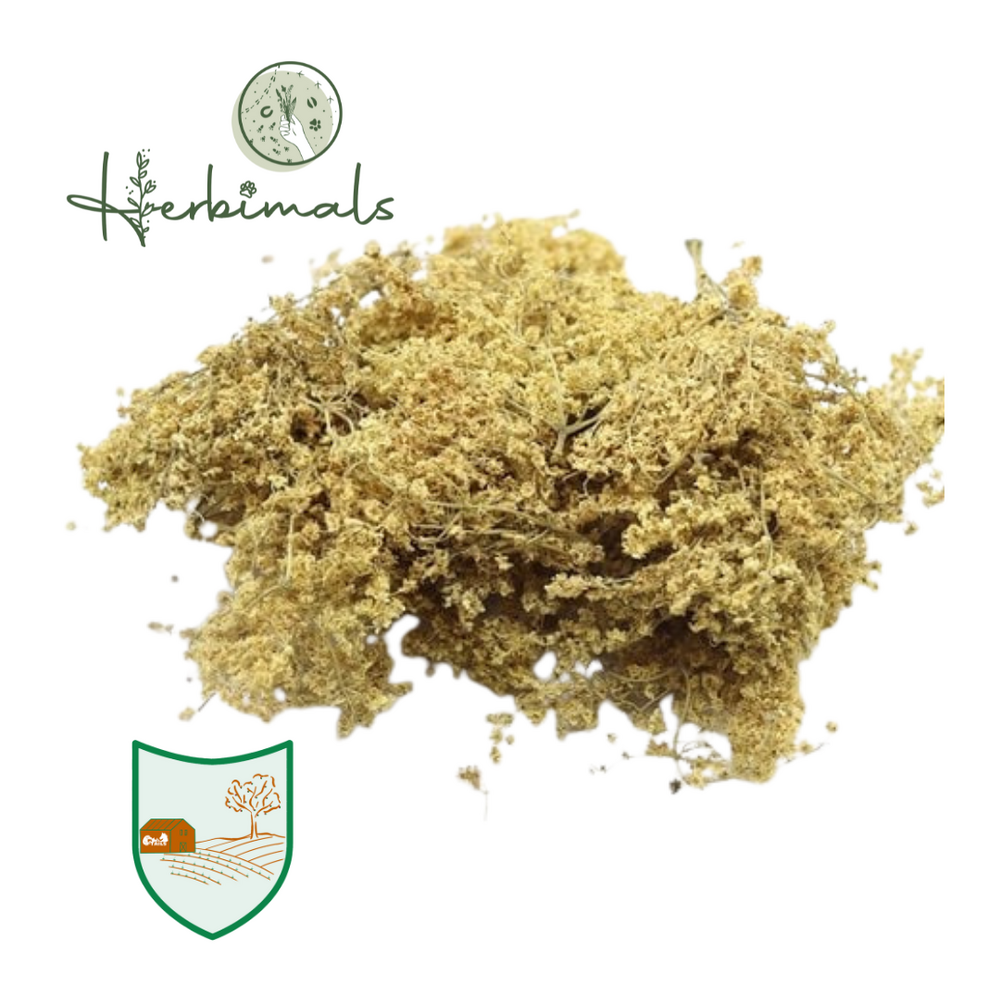 Herbimals Herbimals Vlierbesbloesem - grof