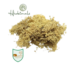 Herbimals Herbimals Vlierbesbloesem - grof