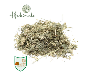 Herbimals Herbimals Duizendbladbloemen - grof