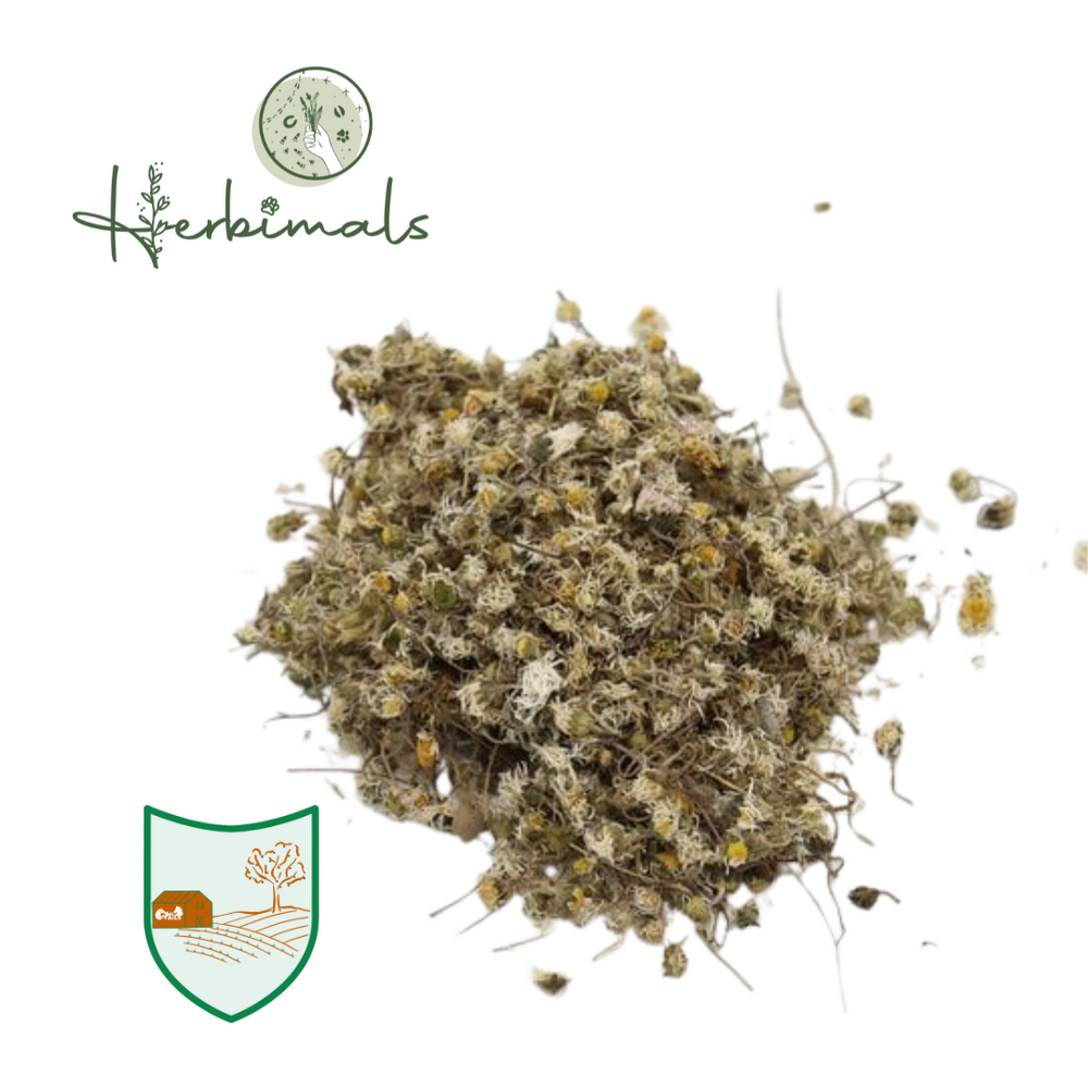 Herbimals Herbimals Madeliefjes