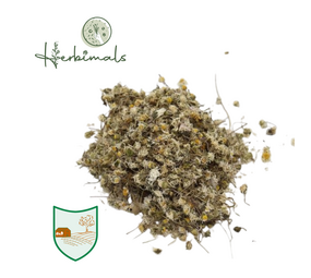 Herbimals Herbimals Madeliefjes