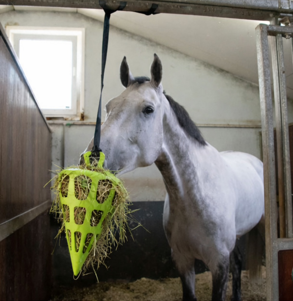 Herbimals Fun en Flex - Slowfeeder - Wortel of Bal - Herbimals kruiden combi-deal