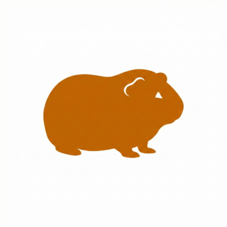 Cavia