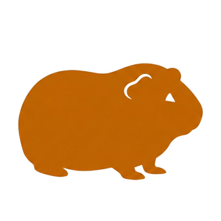 Cavia