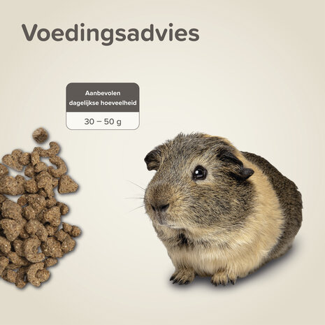 Beaphar Beaphar Care+ Cavia