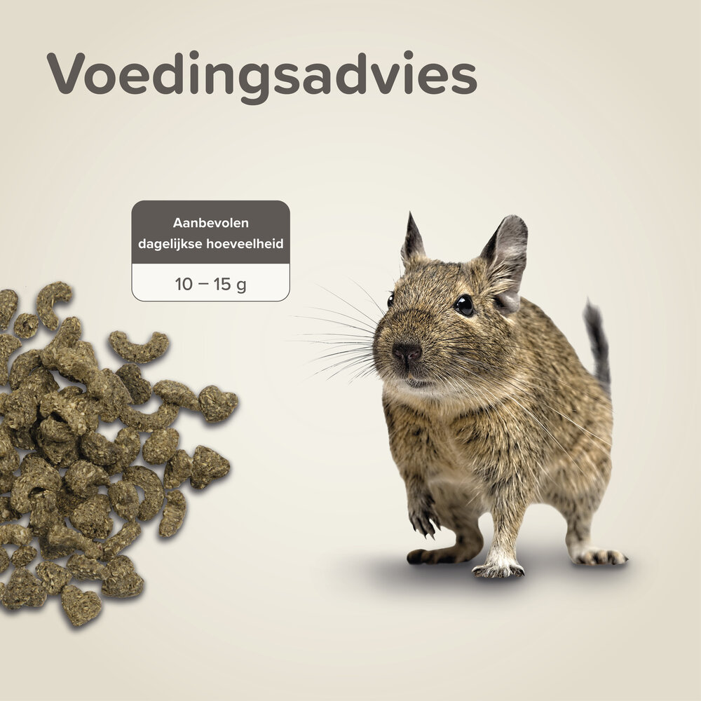 Beaphar Beaphar Care+ Degoe - 700 gram