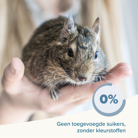 Beaphar Beaphar Care+ Degoe - 700 gram