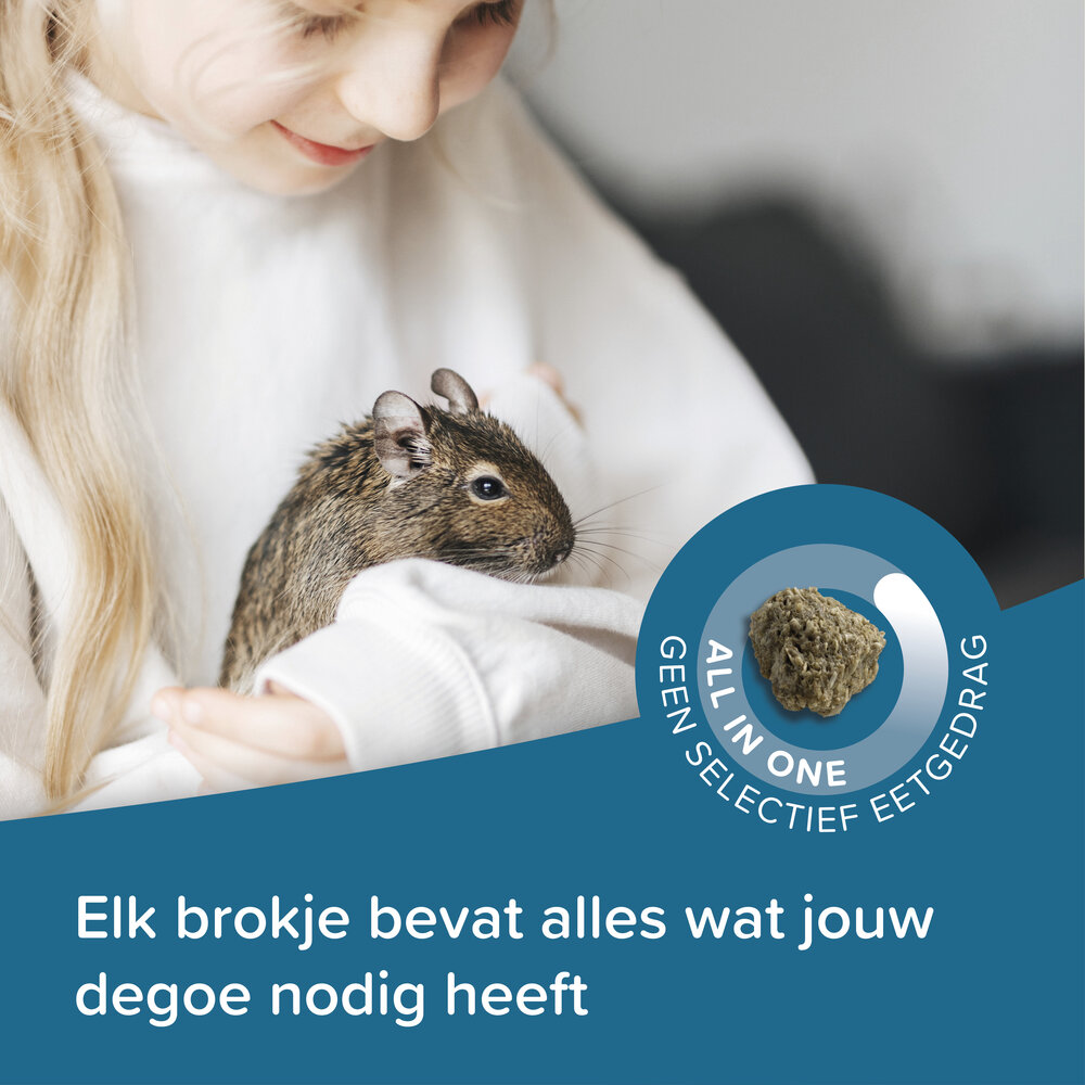 Beaphar Beaphar Care+ Degoe - 700 gram