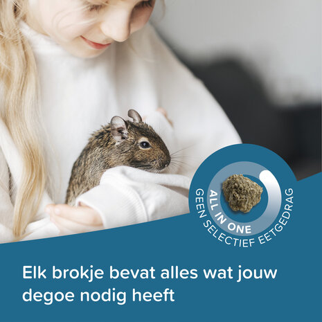 Beaphar Beaphar Care+ Degoe - 700 gram