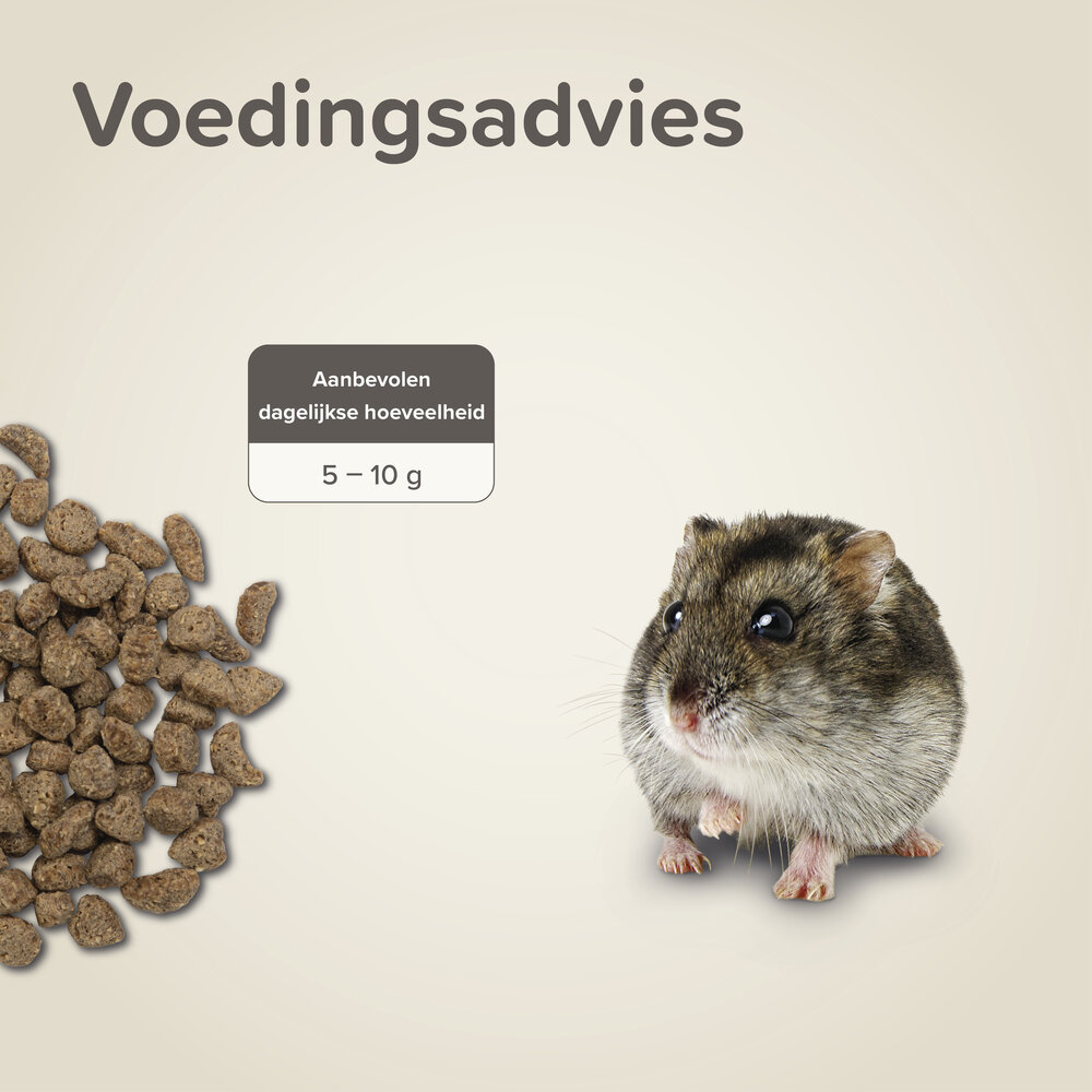 Beaphar Beaphar Care+ Dwerghamster - 500 gram